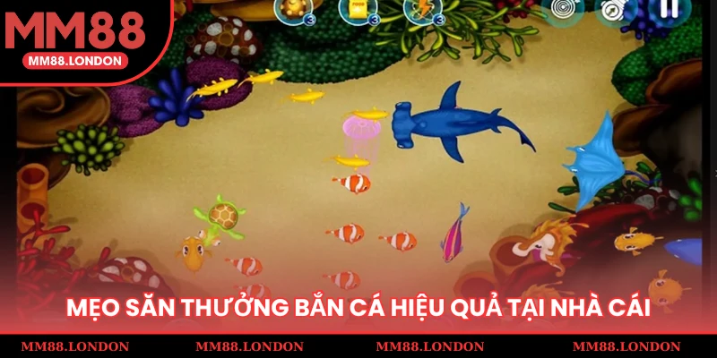 Mẹo săn thưởng bắn cá hiệu quả tại nhà cái